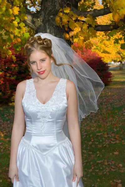 Podzimní nevěsta v parku u barevné stromy — Stock fotografie