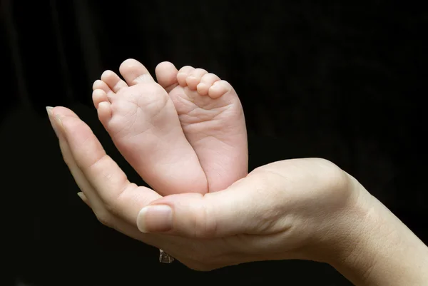 Five week old baby feet held in mothers — Stock Photo, Image