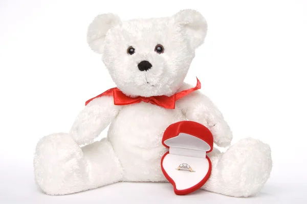 Bear Holding Engagement Ring — Stock Photo, Image