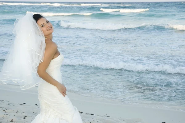 加勒比海滩婚礼 — 图库照片