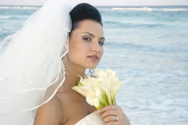 Karibské pláži svatba — Stock fotografie