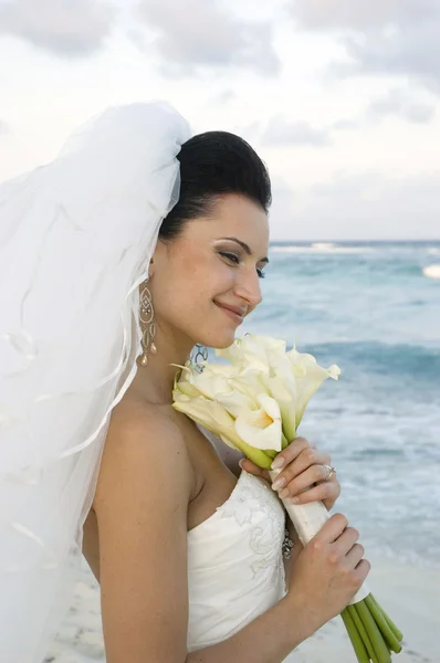 Karibské pláži svatba — Stock fotografie