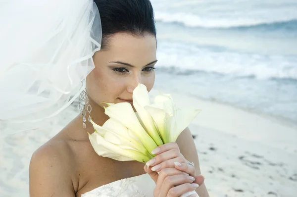 Karaibska plaża ślub — Zdjęcie stockowe