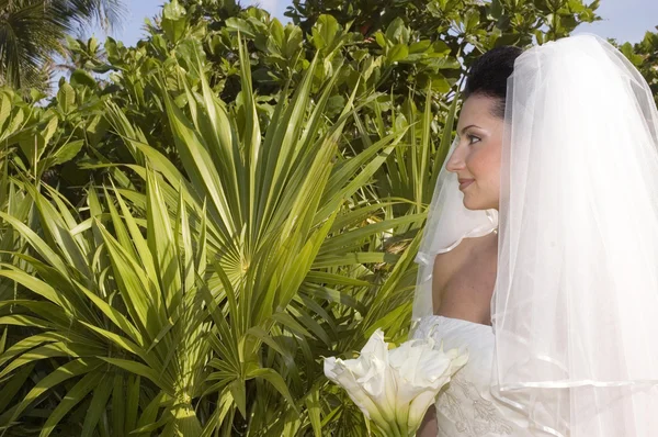 Caribbean beach bröllop — Stockfoto