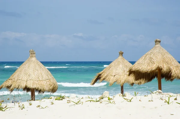 Трава пляжные зонтики — стоковое фото
