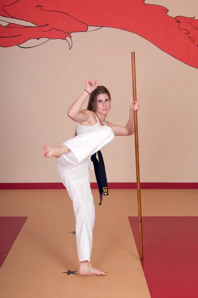 Mujer de artes marciales —  Fotos de Stock