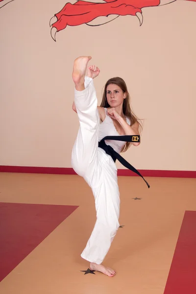 Martial Arts Woman — 图库照片