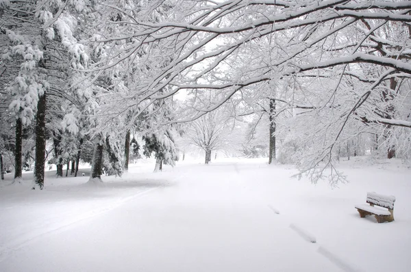 Ławka w parku zimą — Zdjęcie stockowe