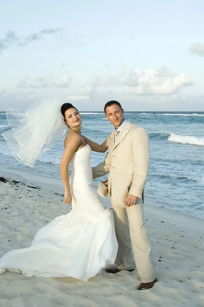 加勒比海滩婚礼-新娘和 groo 图库照片