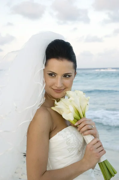Карибская пляжная свадьба Стоковое Фото