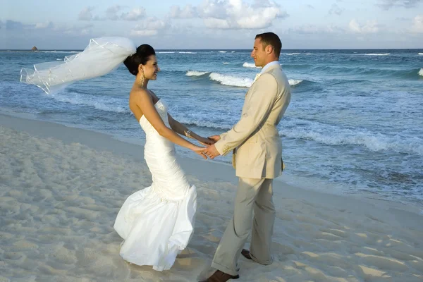 Карибская пляжная свадьба Стоковое Изображение