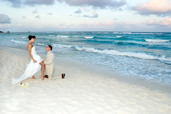 Caribbean beach bröllop Royaltyfria Stockfoton
