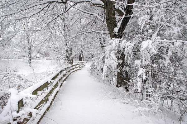 Zima v Nové Anglii. Stock Snímky