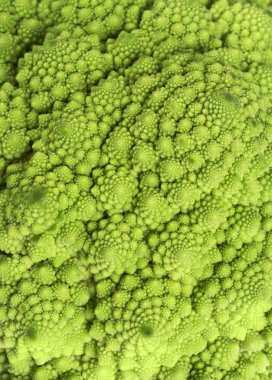 Roma lahana arka plan