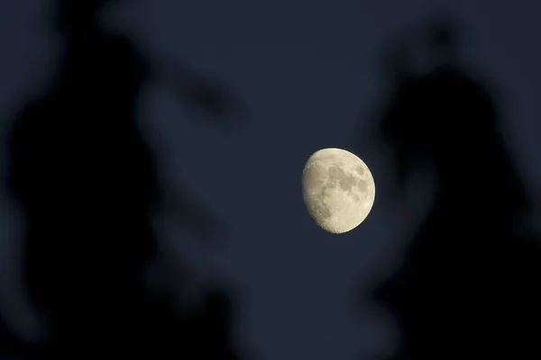 The Moon — Stock Photo, Image