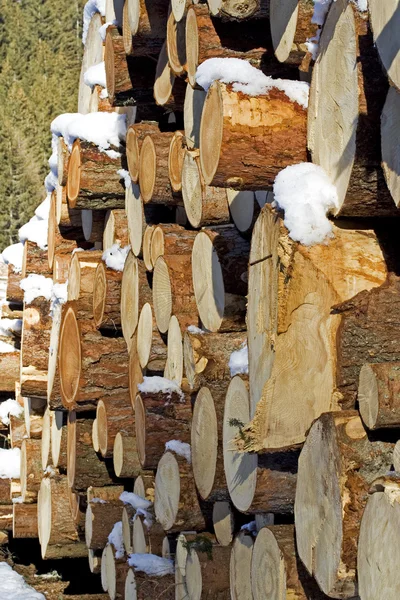 stock image Wood pile