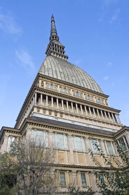 Mole Antonelliana, Turin, Italy clipart