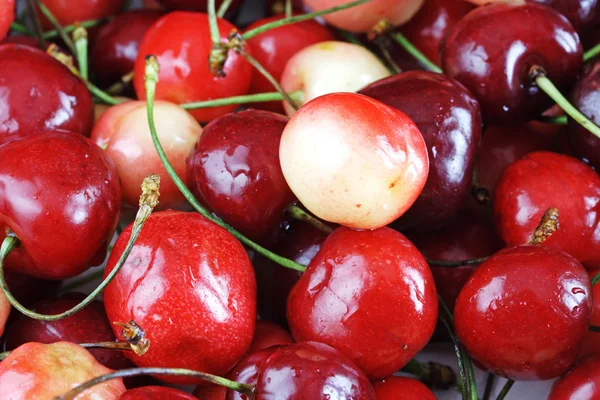 stock image Cherry