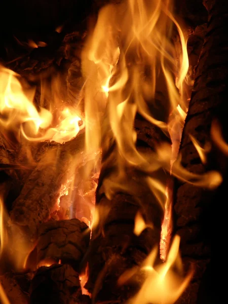 火焰或火 — 图库照片