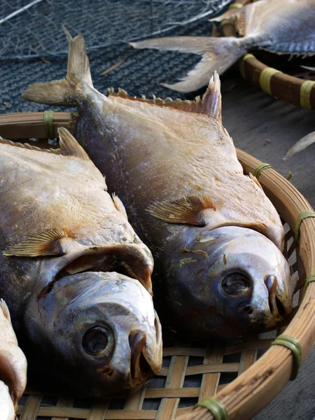 Slunce, sušené ryby — Stock fotografie