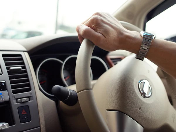 stock image Driving