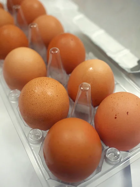 Свежие яйца в стойке — стоковое фото