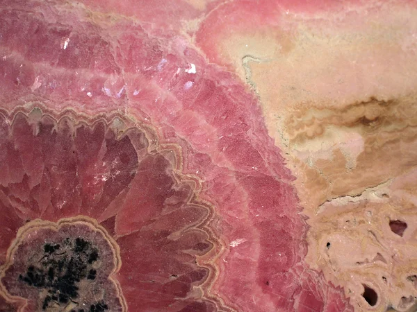 Cross-section of rock — Stock Photo, Image