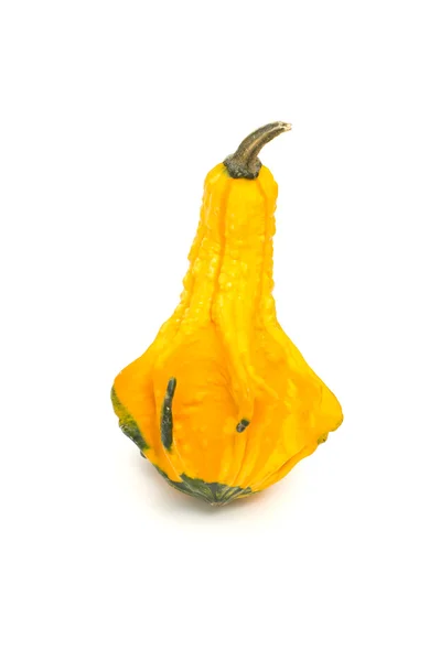 Ugly courge d'automne — Photo