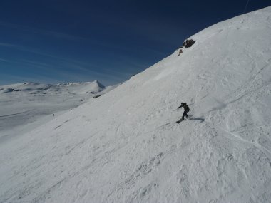 Kayakçı