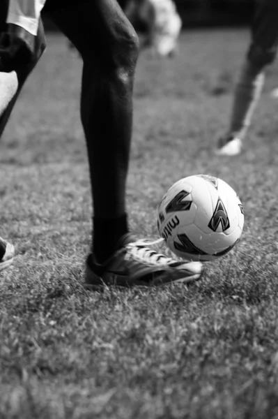 stock image Football in the park