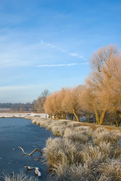 Morning frost and lake — Stock Photo, Image
