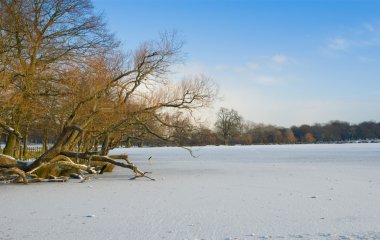 Frozen Lake clipart