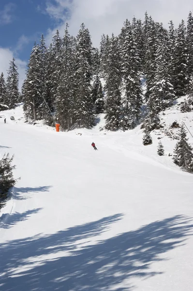 Sciatore alpino — Foto Stock
