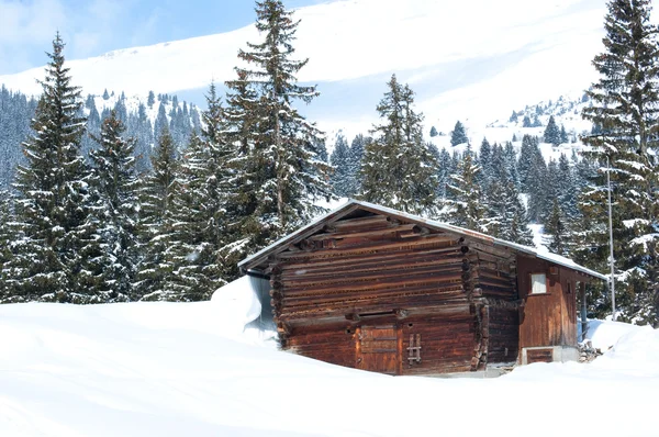 stock image Swiss Barn in Winter