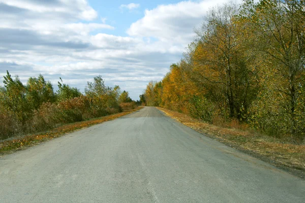 Landscape with road — Stock Photo, Image