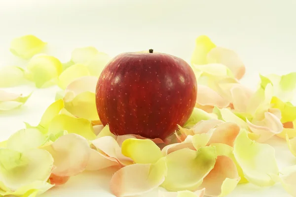 Big red fresh apple — Stock Photo, Image