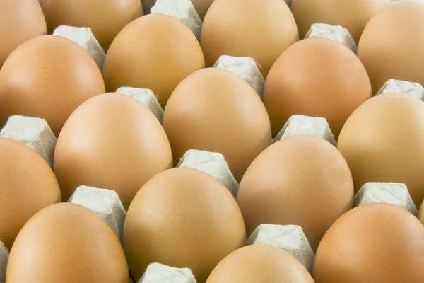 Muchos huevos rurales frescos — Foto de Stock