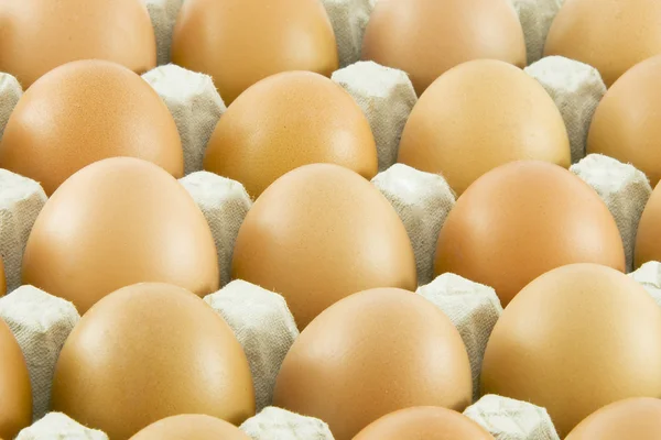 Много свежих сельских яиц — стоковое фото