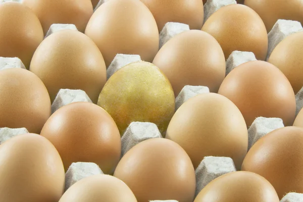 Один Золоте яйце — стокове фото