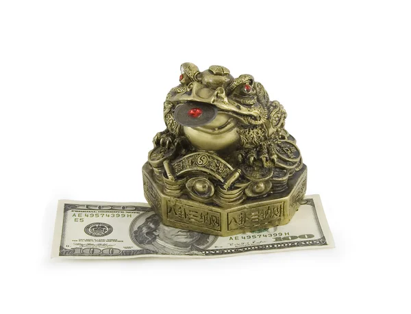 Денежная жаба и долларовая купюра — стоковое фото