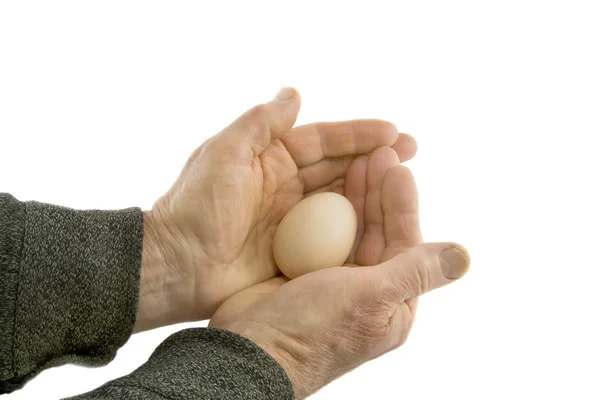 Man's hands hold egg — Stock Photo, Image