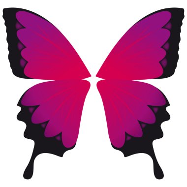 The wings for your butterfly clipart