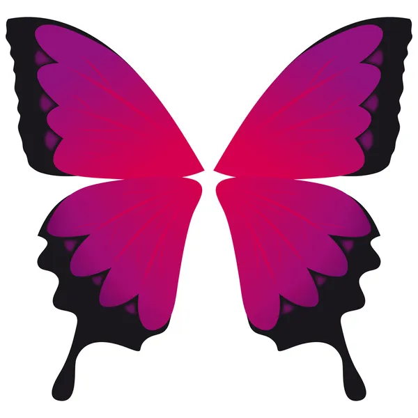 あなたの蝶の翼 — ストックベクタ
