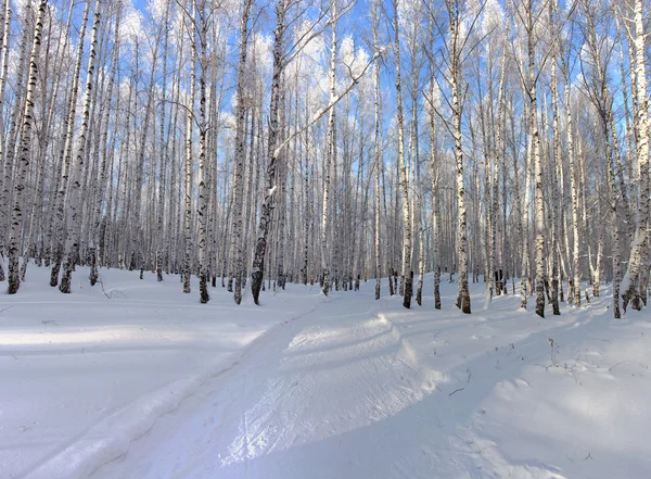 Serenidade de inverno — Fotografia de Stock