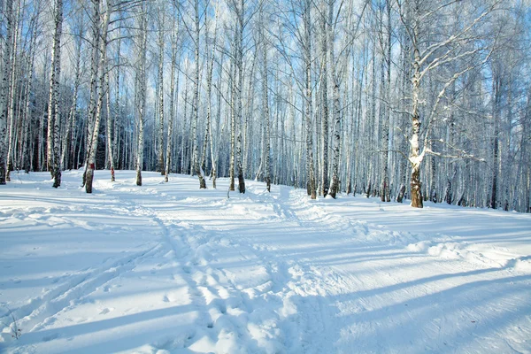 Serenità invernale — Foto Stock