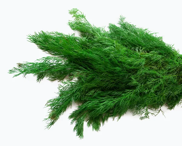 화이트에 신선한 녹색 딜의 무리. — 스톡 사진