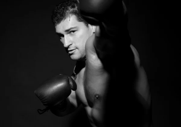 Boxer. — Fotografia de Stock