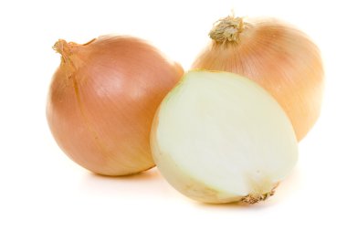 Yellow onion clipart