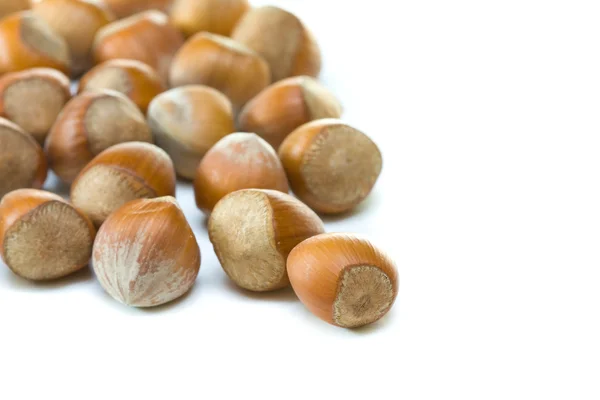 stock image Hazelnuts