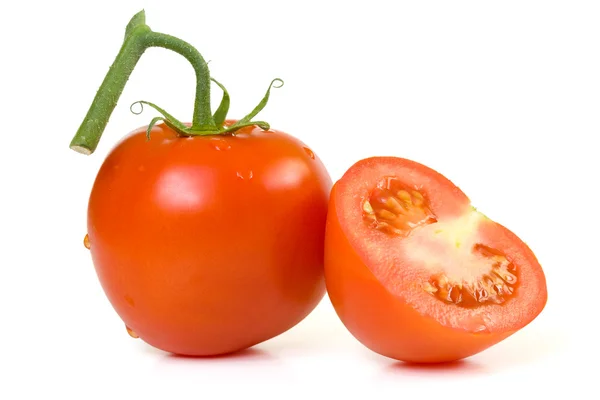 Stock image Tomato